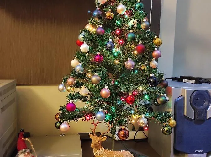 Naissa Apartamento *